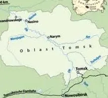назіно тарінга