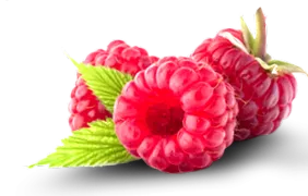 slimketone