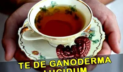 előnyök