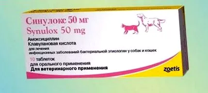 sinulox