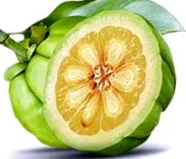 garcinia