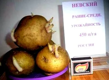 картофи