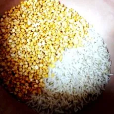 Basmati rizs