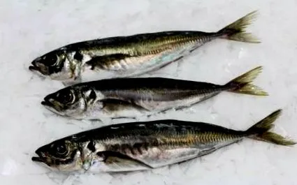 peixe