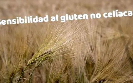 glutén