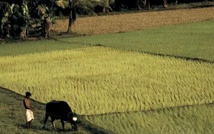 kerala