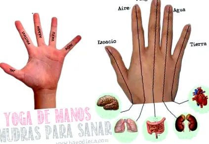 diétás