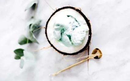 sorbet