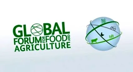 alimentație