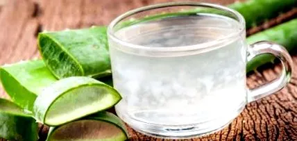 tudnivaló aloe