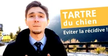 stop dinților