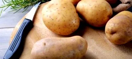 false necrezut