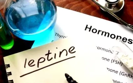 hormon leptina