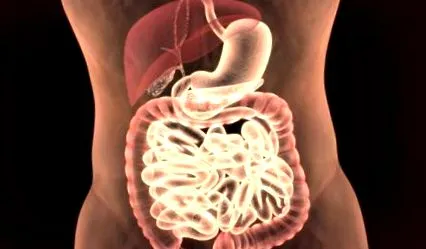 ciszta
