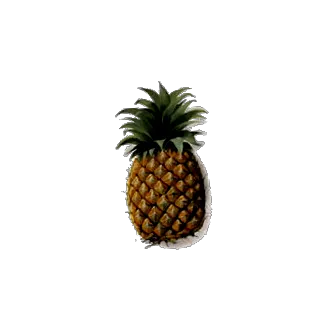 ananas
