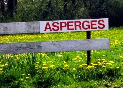 изберем аспержи