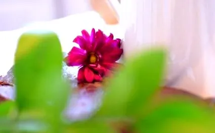 naturopathie