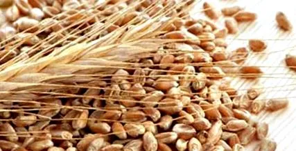 nutri antitestek kimutatása