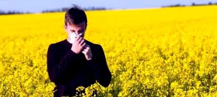 pollen