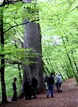 utáni