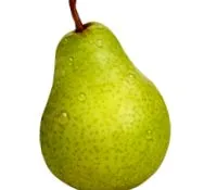 körte