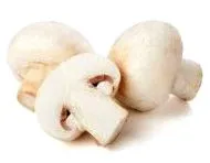gombagomba