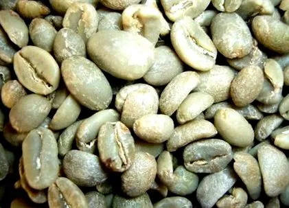 slabirea