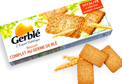 gama integral