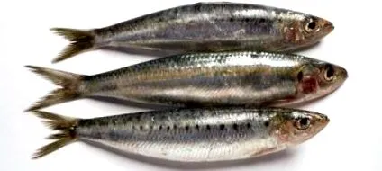 omega-3