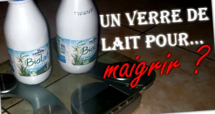 vacă