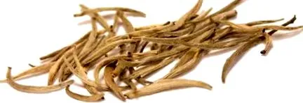 ital