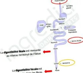 unei calitatea