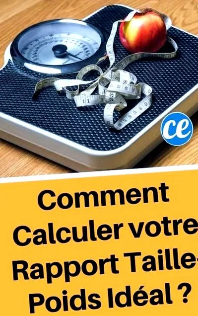 calculați