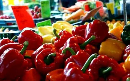 táplálkozási szakember