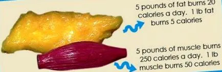 diet ketogenic