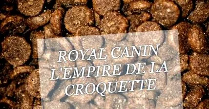 canin