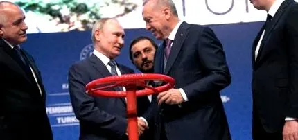 testează