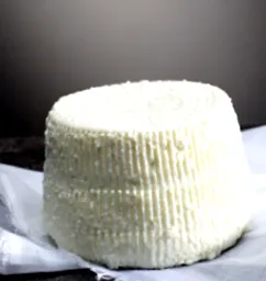 cheese