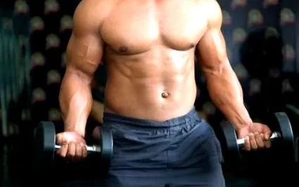 endomorph