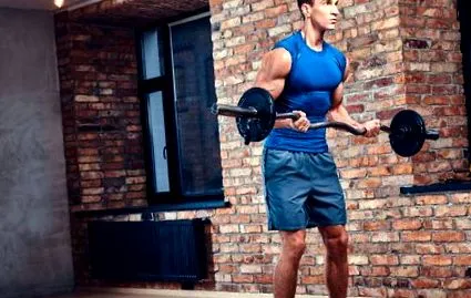 ectomorf