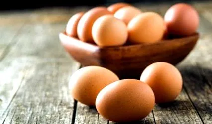dieta câinelui câinele