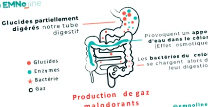 disbioză