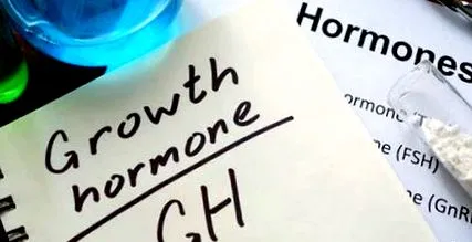 növekedési hormont