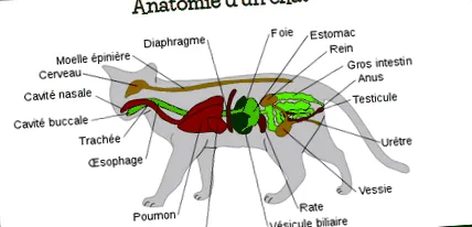közötti