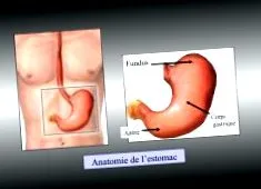 chirurgie teljes