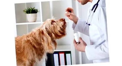 gastroenteritis