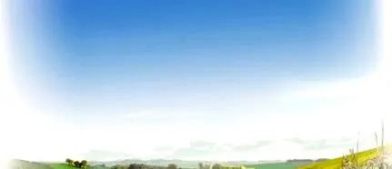 terület