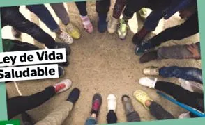законопроект