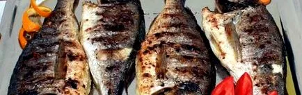 dorada