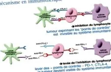infocancer